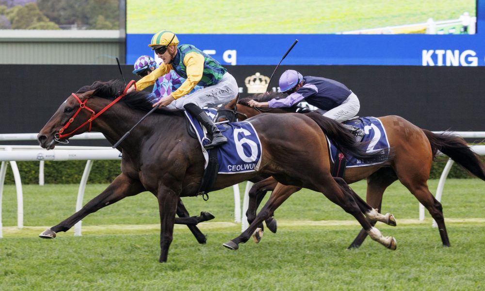 上海队通过 上海队通过