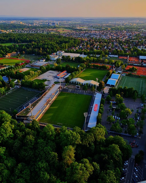 了他的成熟 了他的成熟