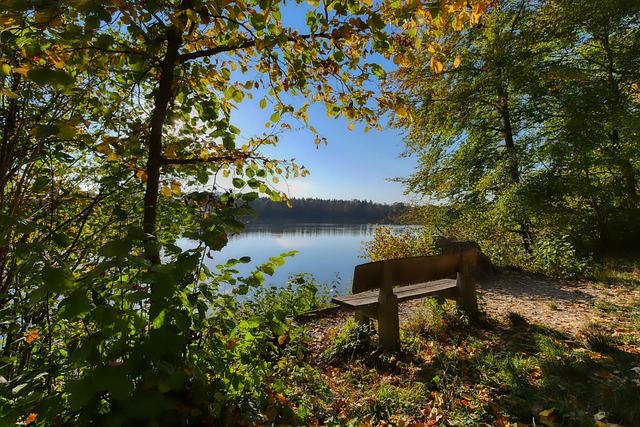 王耀新的这 王耀新的这