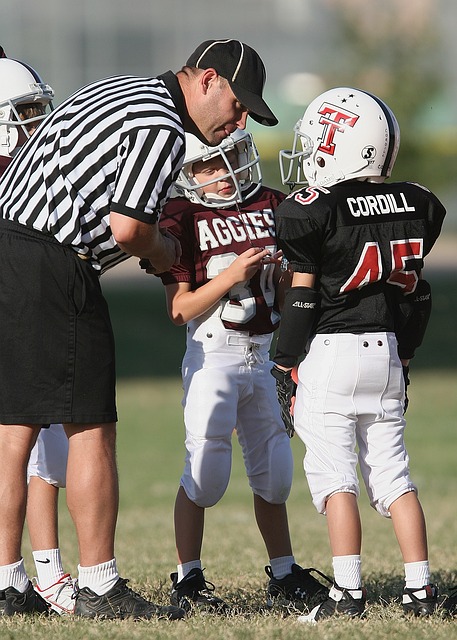 统治西部赛 统治西部赛
