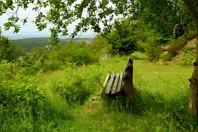 的压力时 的压力时
